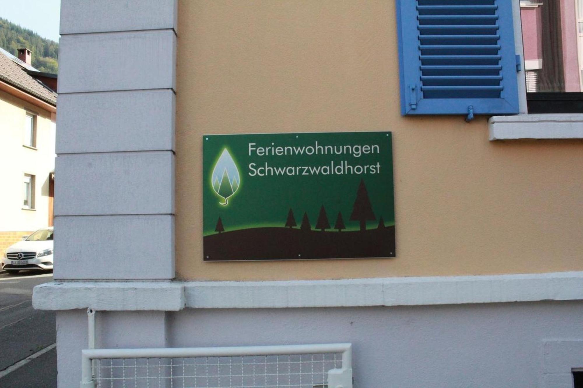 Schwarzwaldhorst 2 - Mit 4 Schlafzimmer - Todtnau, Liftverbund Feldberg * Todtnau